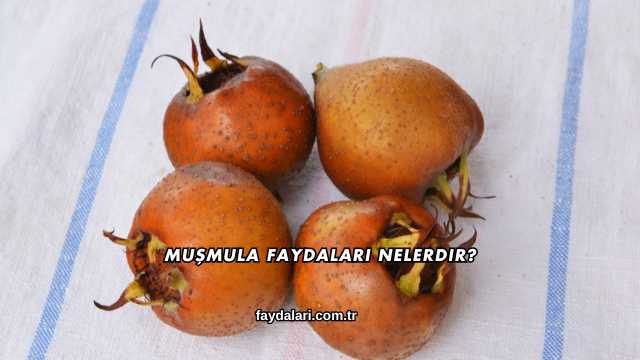 Muşmula Faydaları Nelerdir?