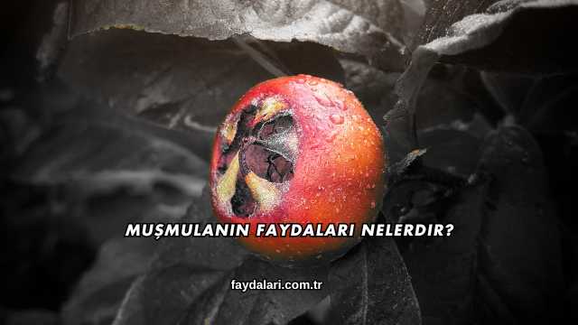 Muşmulanın Faydaları Nelerdir?