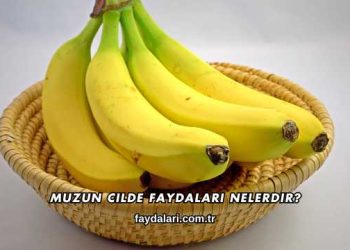 Muzun Cilde Faydaları Nelerdir
