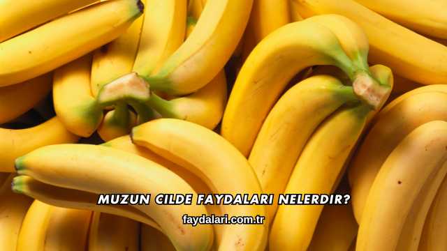 Muzun Cilde Faydaları Nelerdir