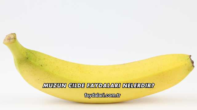 Muzun Cilde Faydaları Nelerdir