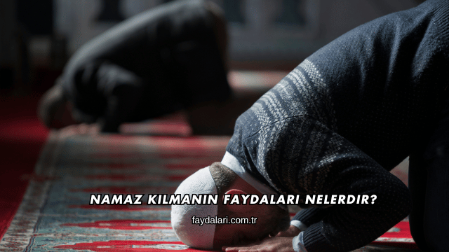 Namaz Kılmanın Faydaları Nelerdir?