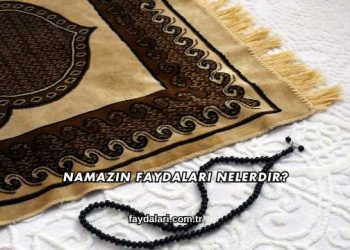 Namazın Faydaları Nelerdir?