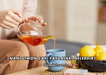 Nane Limon Çayı Faydaları Nelerdir?