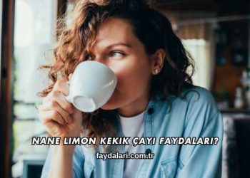 Nane Limon Kekik Çayı Faydaları?