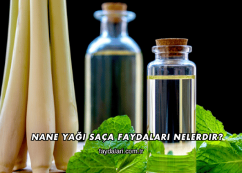 Nane Yağı Saça Faydaları Nelerdir?