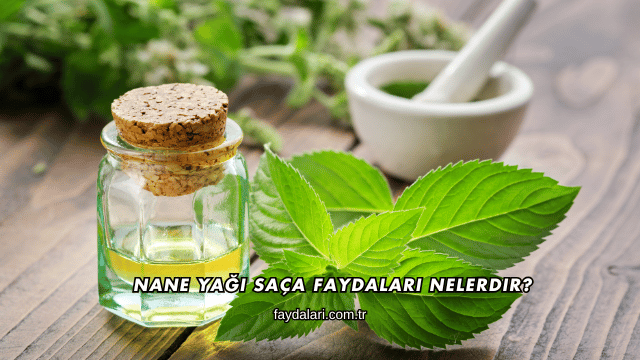 Nane Yağı Saça Faydaları Nelerdir?