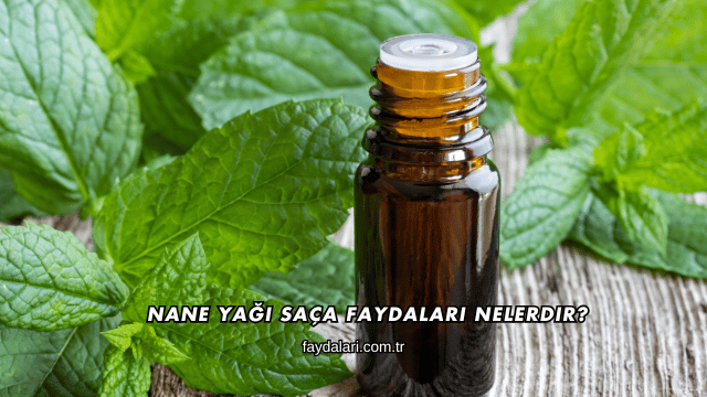 Nane Yağı Saça Faydaları Nelerdir?