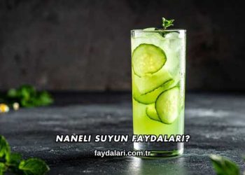 Naneli Suyun Faydaları?