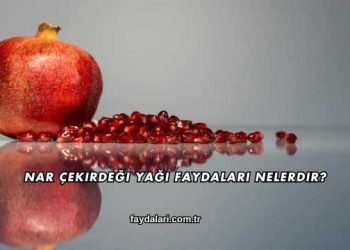 Nar Çekirdeği Yağı Faydaları Nelerdir?