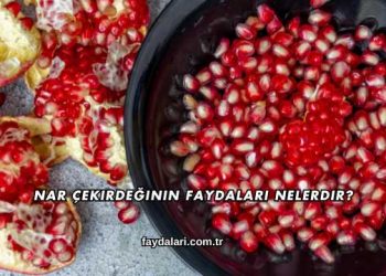 Nar Çekirdeğinin Faydaları Nelerdir?