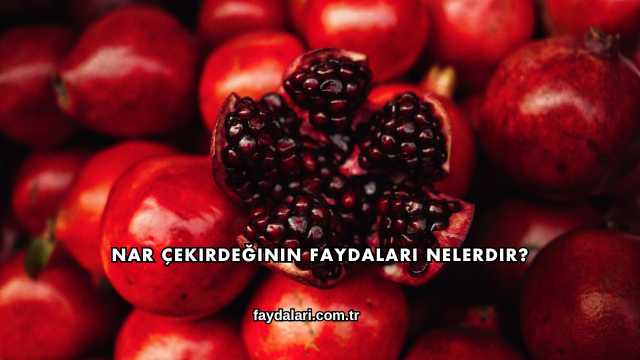 Nar Çekirdeğinin Faydaları Nelerdir?