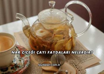 Nar Çiçeği Çayı Faydaları Nelerdir?