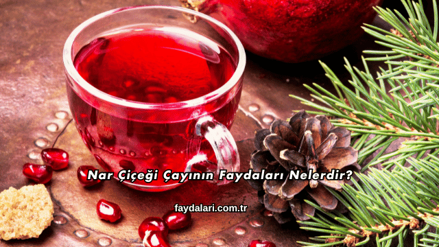Nar Çiçeği Çayının Faydaları Nelerdir?