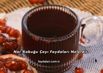 Nar Kabuğu Çayı Faydaları Nelerdir?