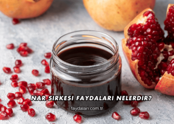 Nar Sirkesi Faydaları Nelerdir?