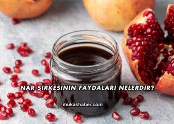 Nar Sirkesinin Faydaları Nelerdir?