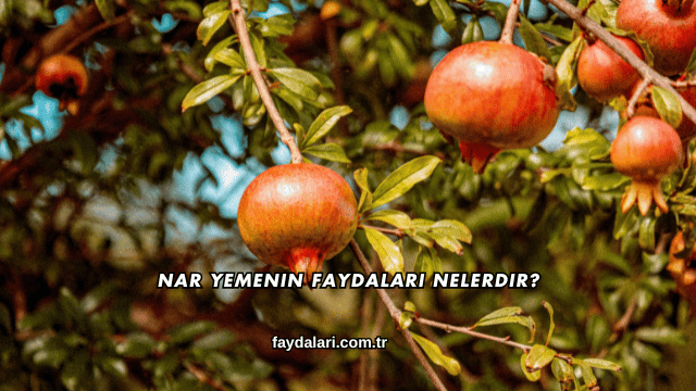 Nar Yemenin Faydaları Nelerdir?