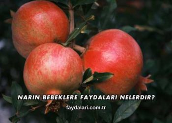 Narın Bebeklere Faydaları Nelerdir?