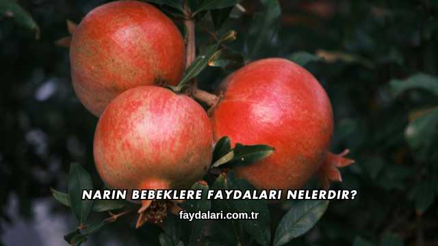 Narın Bebeklere Faydaları Nelerdir?