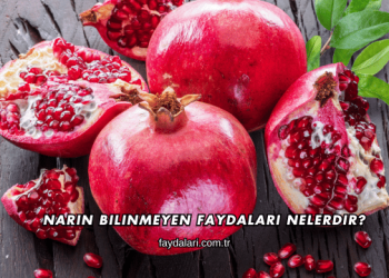Narın Bilinmeyen Faydaları Nelerdir?