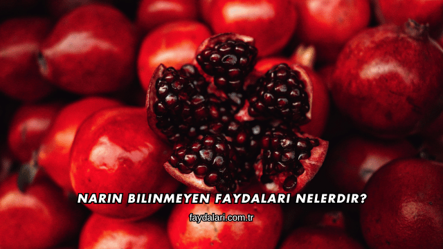Narın Bilinmeyen Faydaları Nelerdir?