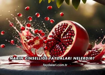 Narın Cinselliğe Faydaları Nelerdir?