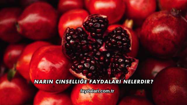 Narın Cinselliğe Faydaları Nelerdir?