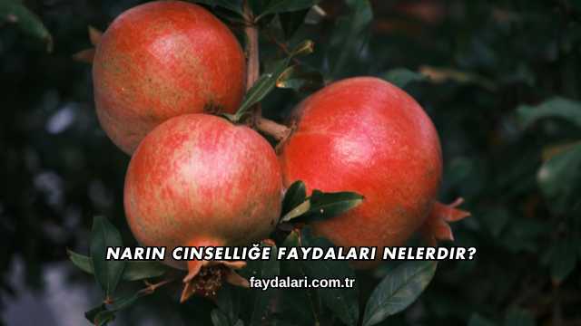Narın Cinselliğe Faydaları Nelerdir?