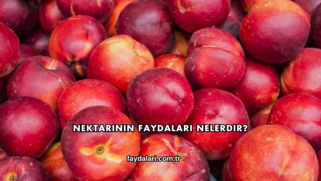 Nektarinin Faydaları Nelerdir?