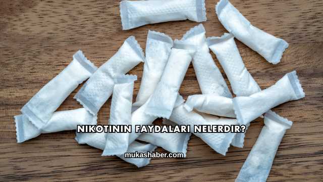 Nikotinin Faydaları Nelerdir?