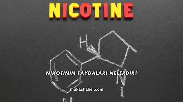Nikotinin Faydaları Nelerdir?