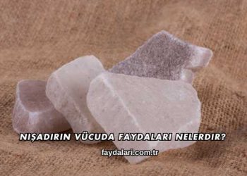 Nişadırın Vücuda Faydaları Nelerdir?