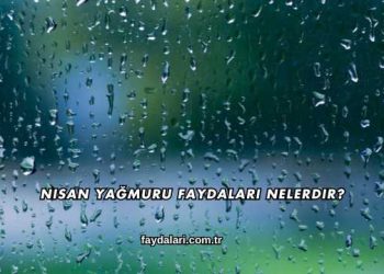 Nisan Yağmuru Faydaları Nelerdir?