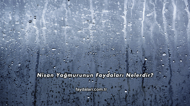 Nisan Yağmurunun Faydaları Nelerdir?