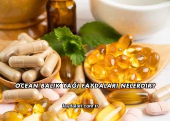 Ocean Balık Yağı Faydaları Nelerdir?
