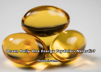Ocean Daily One Energy Faydaları Nelerdir?