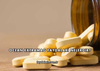 Ocean Extramag Faydaları Nelerdir?