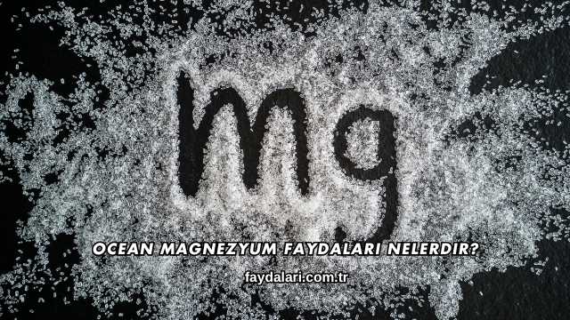 Ocean Magnezyum Faydaları Nelerdir?
