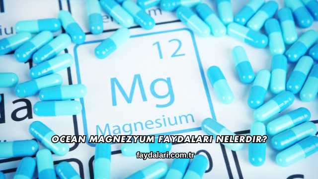 Ocean Magnezyum Faydaları Nelerdir?