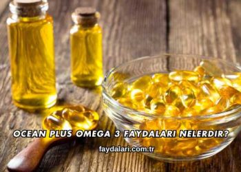 Ocean Plus Omega 3 Faydaları Nelerdir?