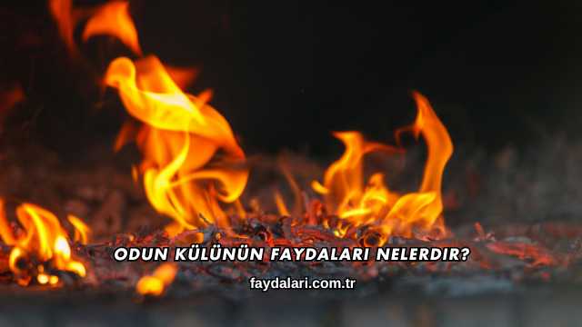 Odun Külünün Faydaları Nelerdir?