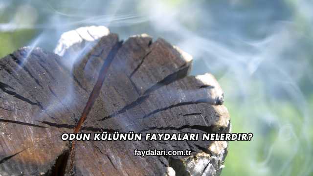 Odun Külünün Faydaları Nelerdir?