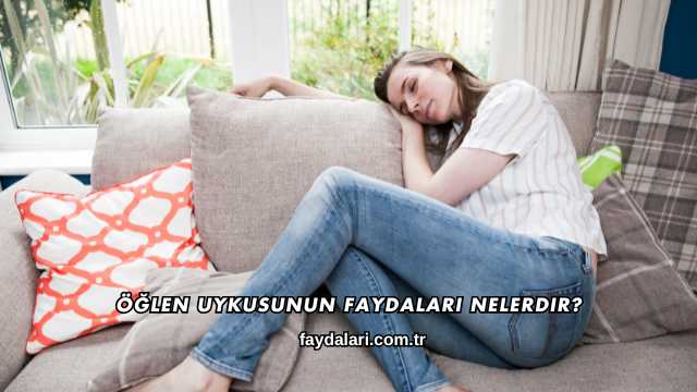 Öğlen Uykusunun Faydaları Nelerdir?