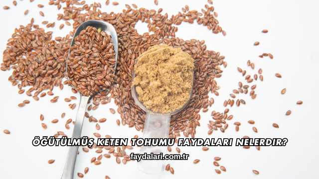 Öğütülmüş Keten Tohumu Faydaları Nelerdir?
