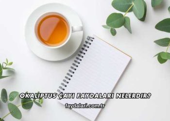 Okaliptus Çayı Faydaları Nelerdir?