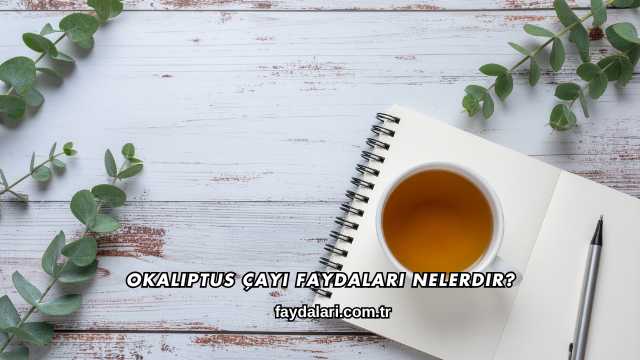 Okaliptus Çayı Faydaları Nelerdir?
