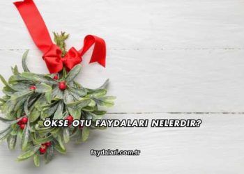 Ökse Otu Faydaları Nelerdir?