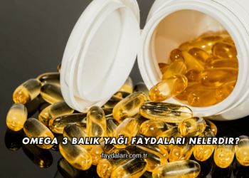 Omega 3 Balık Yağı Faydaları Nelerdir?