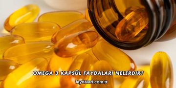 Omega 3 Kapsül Faydaları Nelerdir?